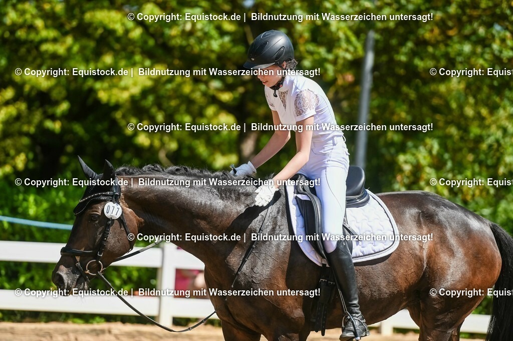 20230715_02_Dressurreiterprüfung Kl.L_0073 | equistock