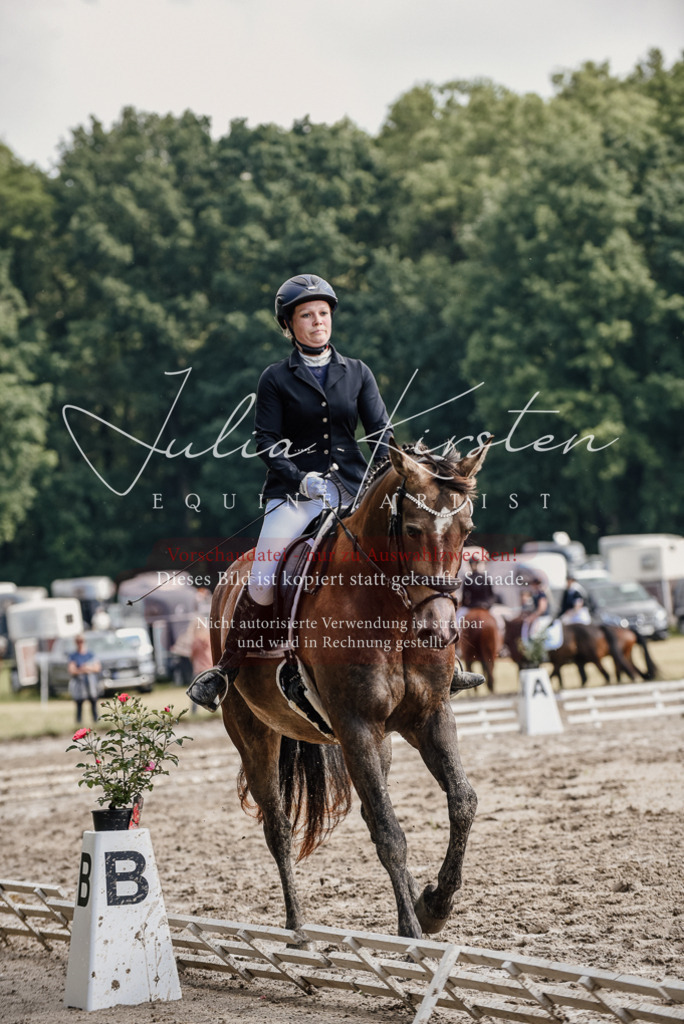 DSC_9312 | Pferde- und Turnierfotografie in Westsachsen. Pferdeportraits, Auftragszeichnungen und intuitive Kunst.