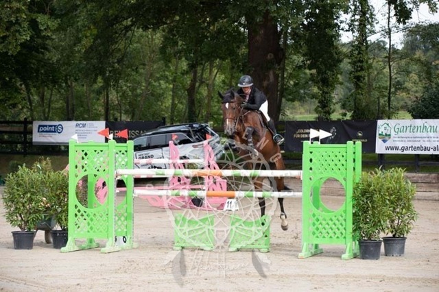 2B4A1164 | pixelfaenger - Realisiert mit Pictrs.com