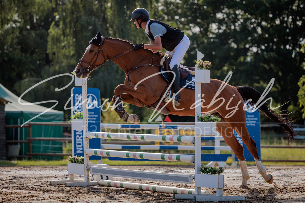 20260529-_3LI0305 | Tierfotografie Pferde, Hunde, Katzen, Haustiere.
Turnierfotografie Reitturniere, Reiten, Springreiten, Dressur in Hanau, dem Main-Kinzig-Kreis und dem Rhein-Main- Gebiet um Frankfurt
