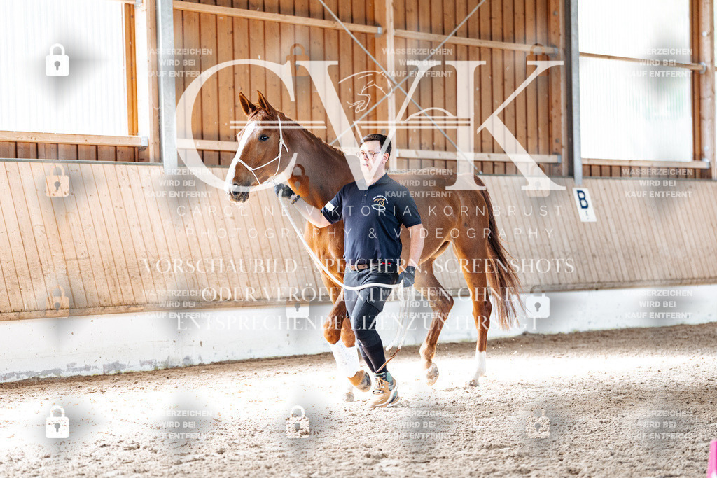 CK905832 | Turnierfotografie Pferdefotografie Trier Rheinland-Pfalz Pferdesport Reitsport Tierfotografie Sportfotografie Pferdevideo Pferdevideografie Equestrianvideography equestrianphotography  - Realized with Pictrs.com