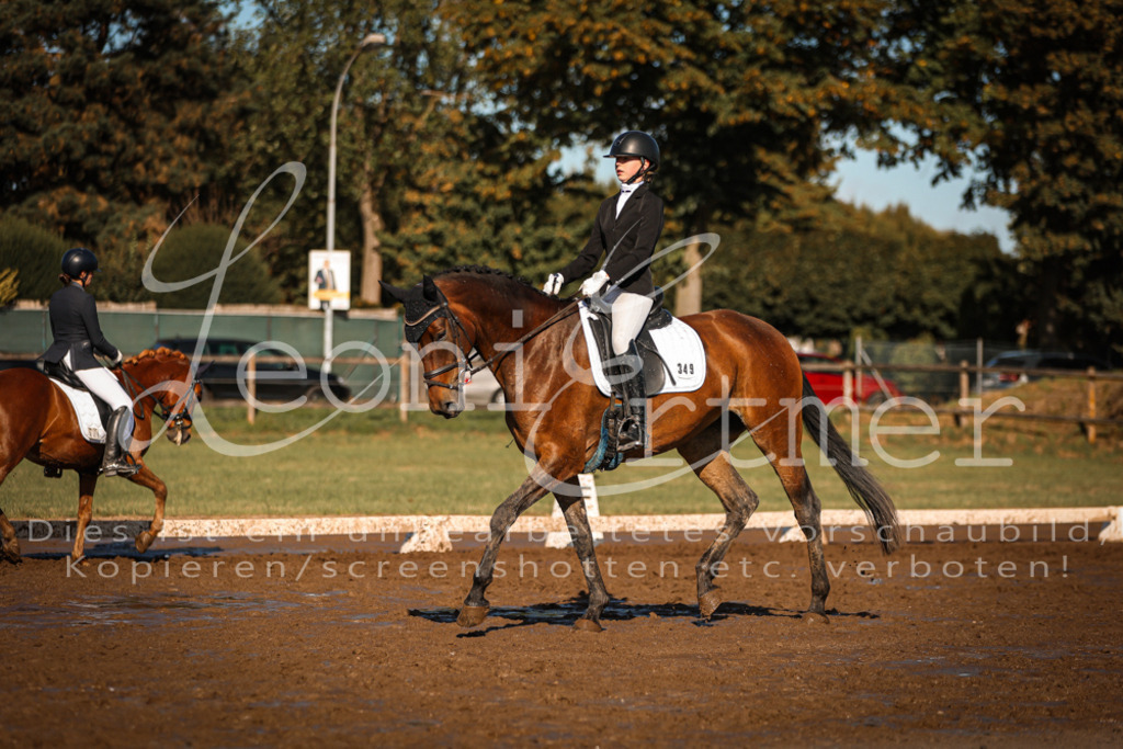 13.SoDrA100451 | Leoni Ertmer Photography - Realisiert mit Pictrs.com