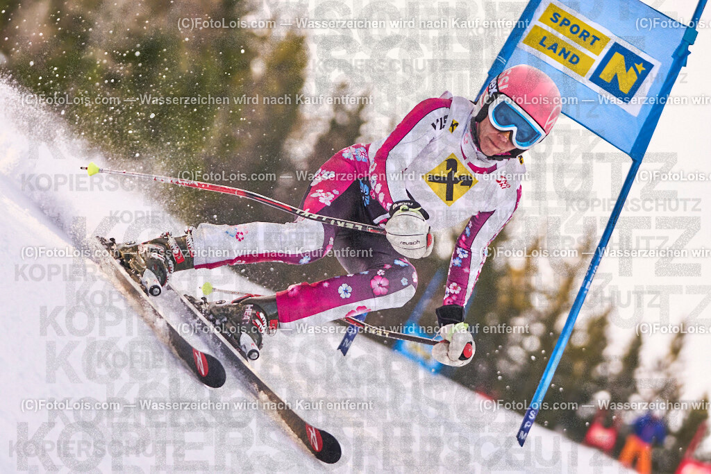 ALP0827_MastersCup-RTL-II_LKHF_Stickler Martina | NÖ Raiffeisen MastersCup, Jugend - Damen - Herren, Riesentorlauf-Rennen 2 auf der Fuchswaldpiste in Lackenhof am Ötscher, durchführender Verein: Schiklub Lackenhof, So 9. Februar 2025.