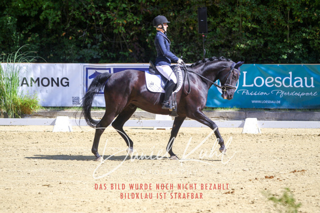 DKP41998 | Turniersportfotografie; Pferdefotografie; Dressurfotografie