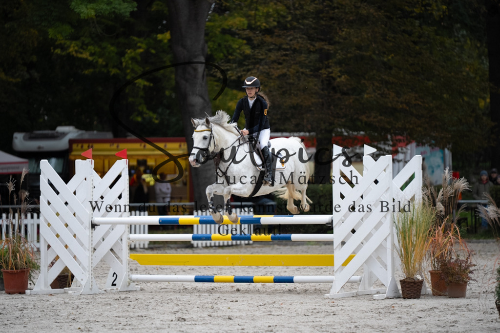 A7V08650 | Pferdefotograf