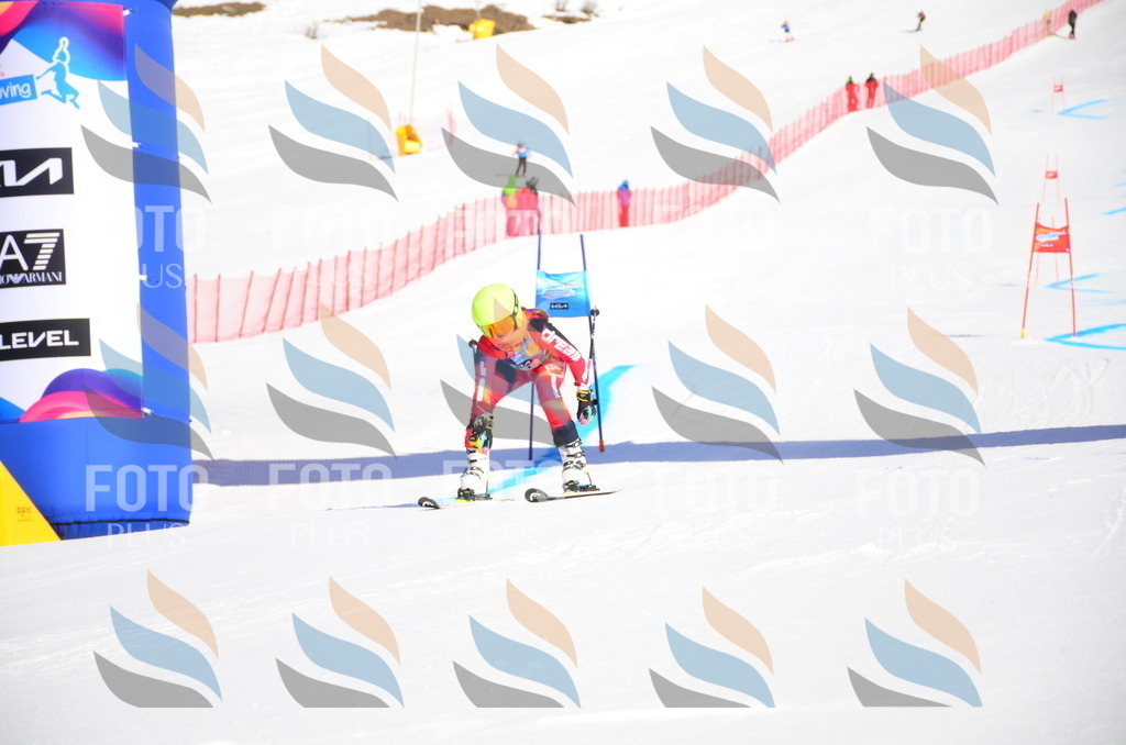 VR4_8679 | holidayphoto