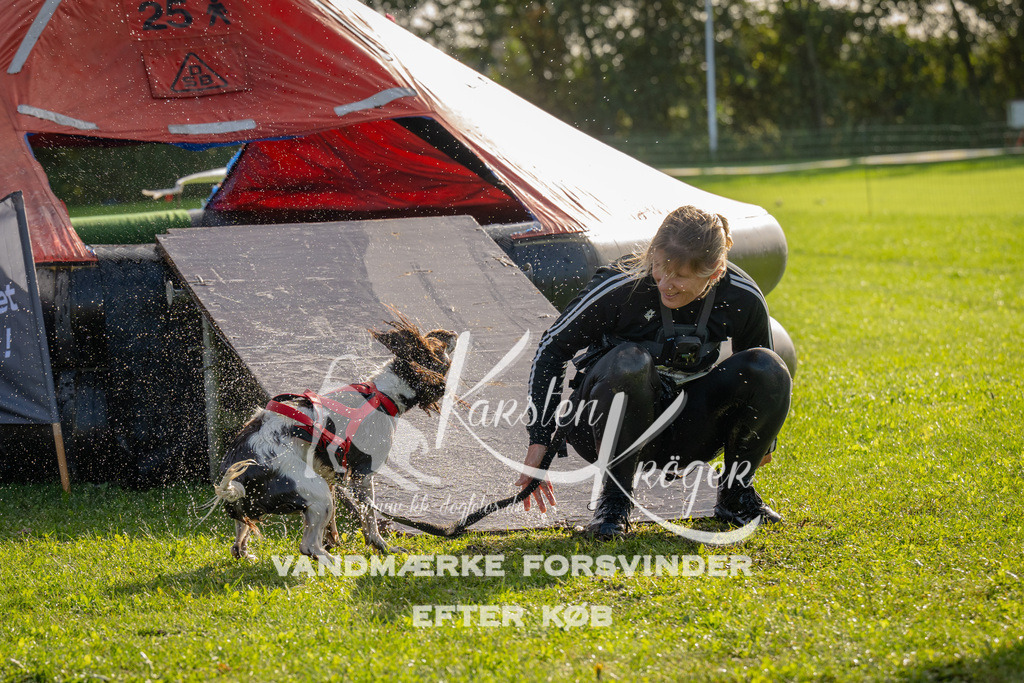 1118-92023 | kk-dogfotos