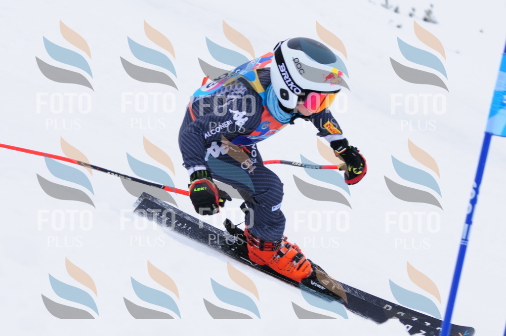 C3093 | holidayphoto