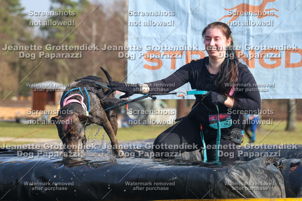 Dog Paparazzi - Strongdog North Mrz26-2479 | Dog Paparazzi Jeanette Grottendiek Fotografie & Videografie - Realisiert mit Pictrs.com