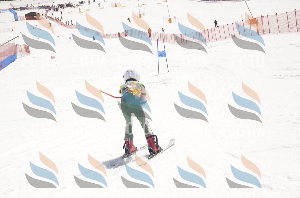 _ELE9621 | holidayphoto