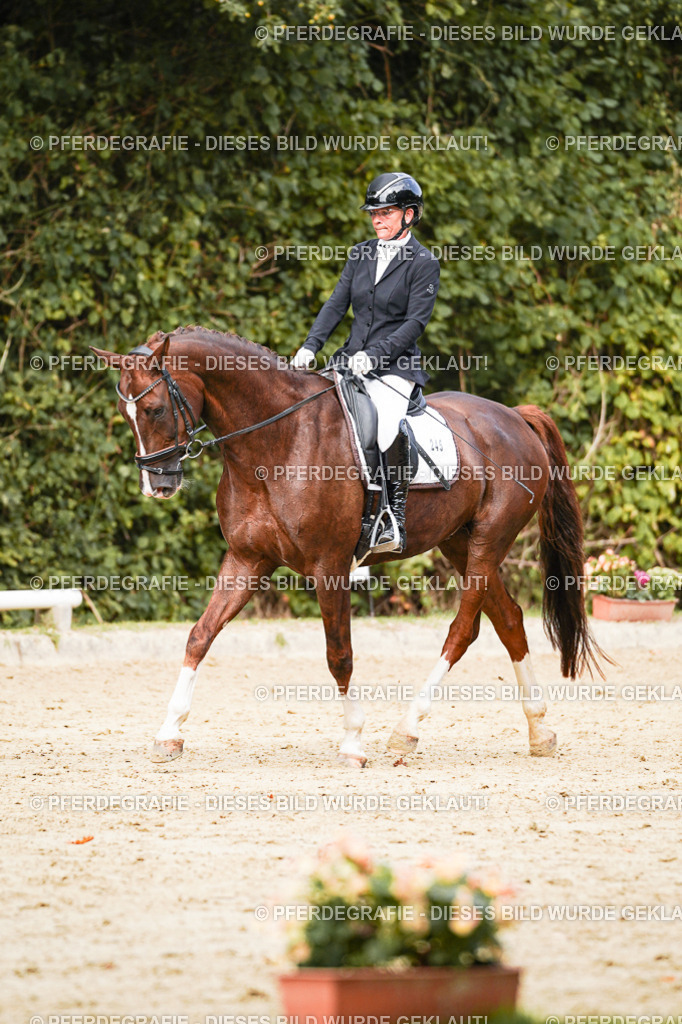 DSC02853 | Pferdegrafie