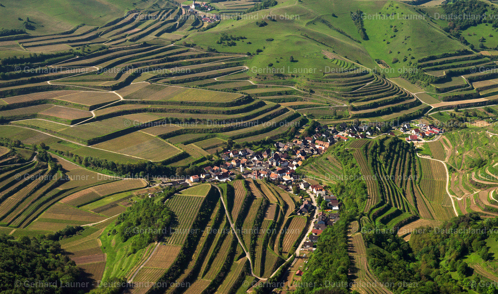 3096247 | Terassenweinberge, Kaiserstuhl bei Schelingen