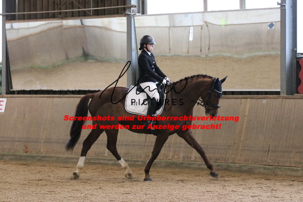 IMG_6386 | lmwpictures - Realisiert mit Pictrs.com