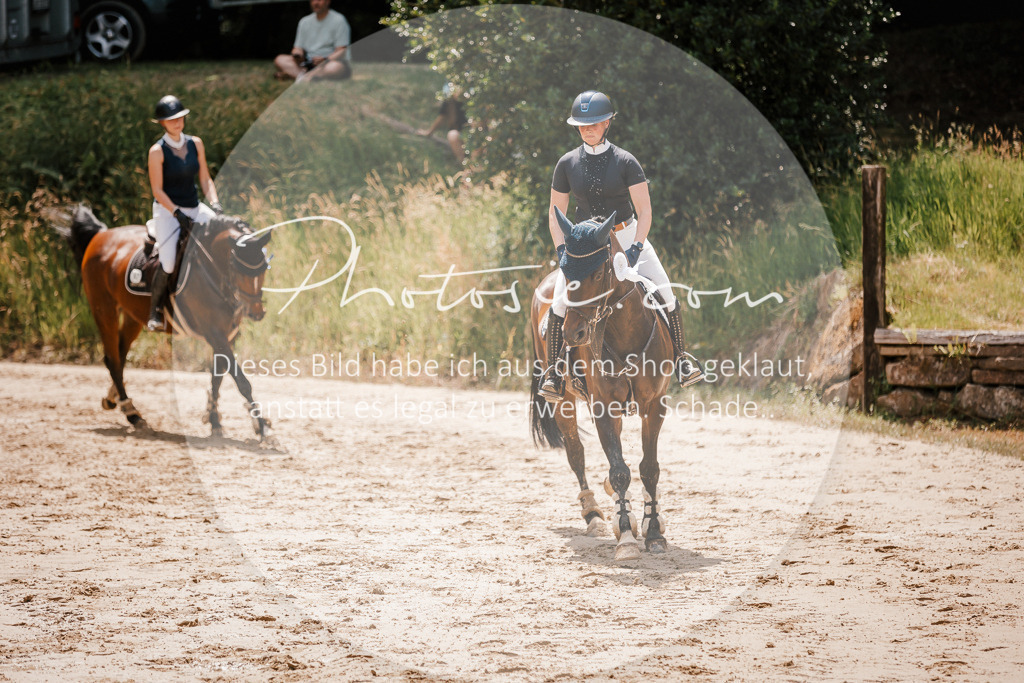 3I6A8171 | Stimmungsvolle Portraits und Reitsportfotografie im Ruhrgebiet und im Münsterland.

Pferdefotografie, Hundefotografie, Tierfotografie, Reportagen, Portraits von Tier und Mensch, Turnierfotografie in Bochum, Recklinghausen, Marl, Haltern am See, Dülmen.. - Realisiert mit Pictrs.com
