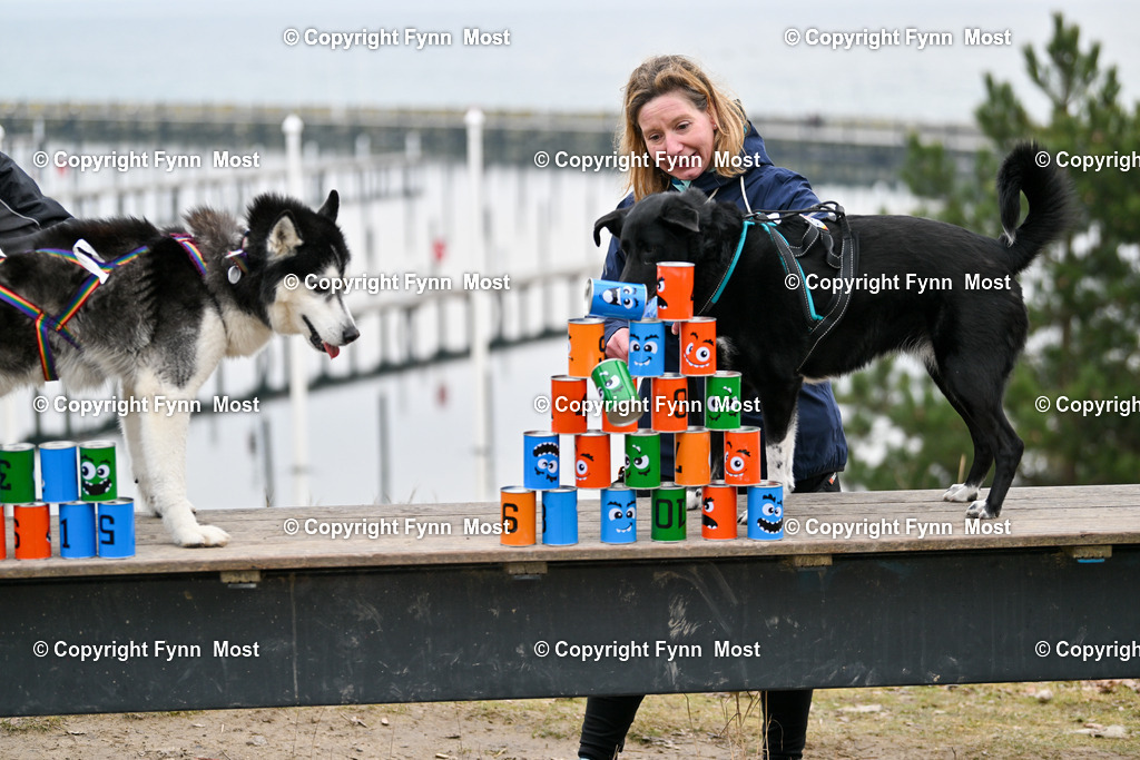 DSC_2976 | Hallo und herzlich Willkommen auf meiner Shop-Seite Fynn Most.

Ich wünsche Dir viel Spaß beim stöbern durch die Bilder, wenn Du Fragen hast oder Bilder vermisst, kannst du mir gerne eine Nachricht schreiben. - Realisiert mit Pictrs.com