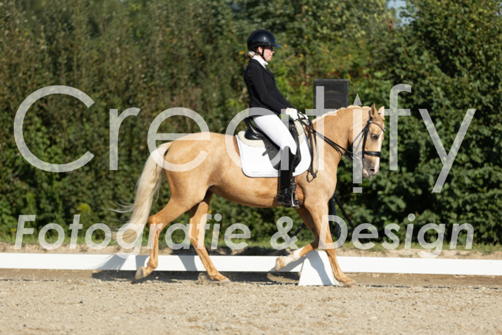 IMG_0938 | Creatify Fotografie