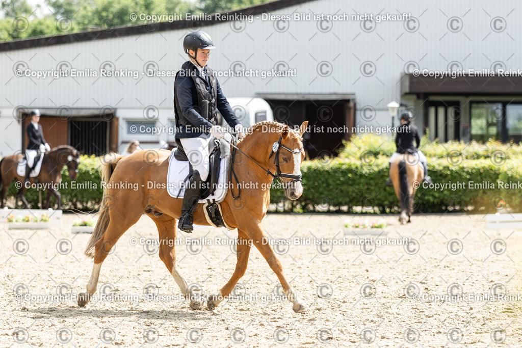 CL5A8001 | Emilia Reinking Fotografie - Realisiert mit Pictrs.com