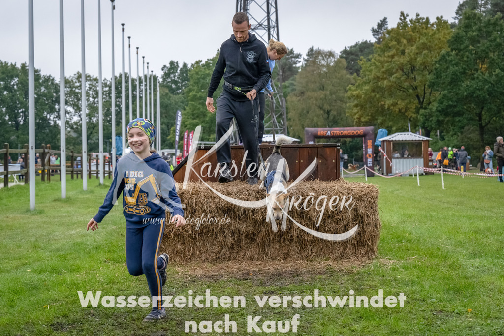 1215--8 | kk-dogfotos