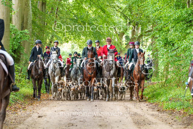 Jagd Perdoel 26 Sony-03890_MarinaHewig | Fotografie, FotoArt, PferdesportArt, Pferdesportfotografie, Landschaftsfotografie, Reisefotografie, Reise, Pferde - Realisiert mit Pictrs.com