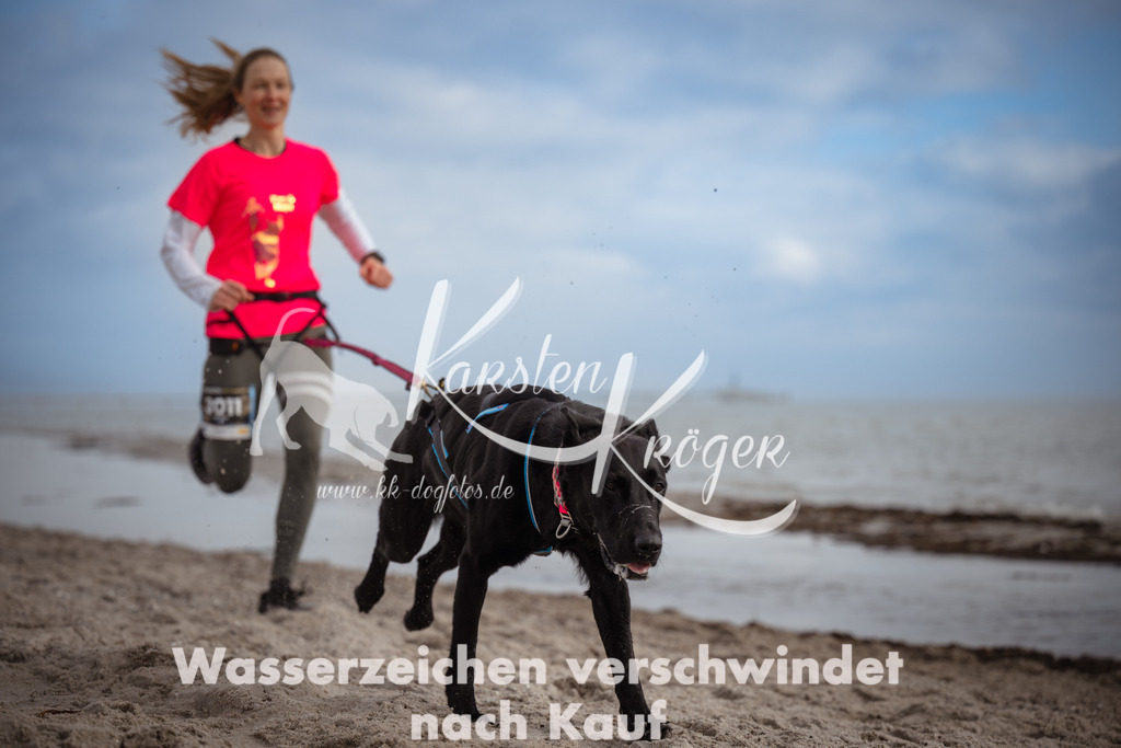 1217_ZZ96061 | kk-dogfotos