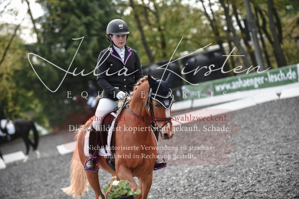 20230513_JK-Röhrsdorf-14-584 | Pferde- und Turnierfotografie in Westsachsen. Pferdeportraits, Auftragszeichnungen und intuitive Kunst.