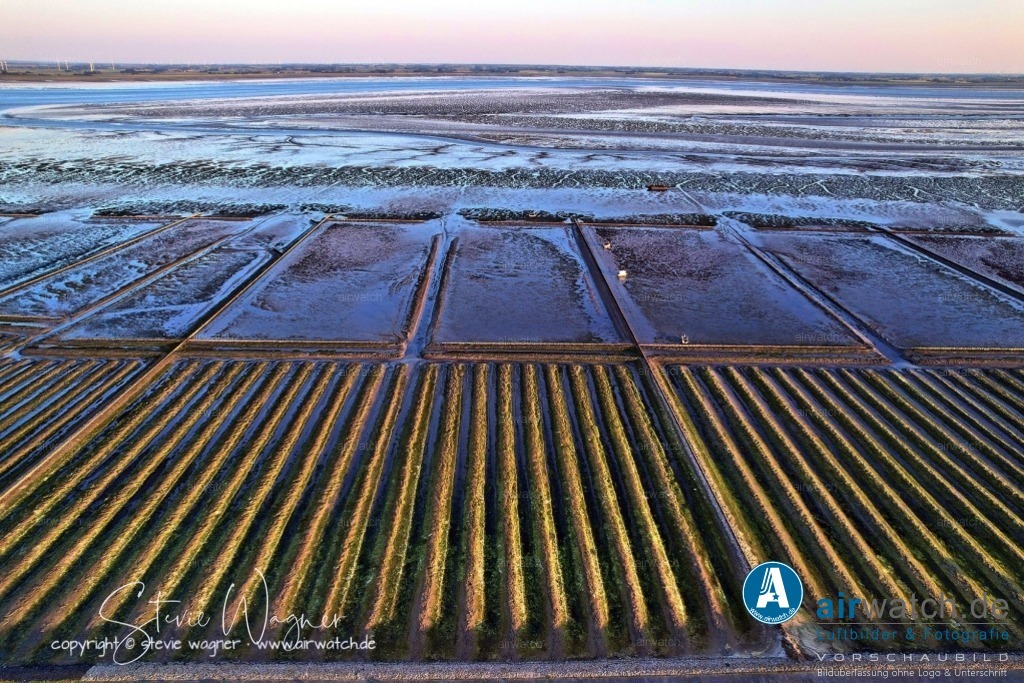 Luftbild Nordstrand, LangerDeich, Dreisprung, Püttenweg, Trendermarsch, Husumer Bucht | Luftbild Nordstrand, LangerDeich, Dreisprung, Püttenweg, Trendermarsch, Husumer Bucht - Die heutige Halbinsel Nordstrand entstand nach der verheerenden Burchardi-Flut von 1634, bei der das mittelalterliche Eiderstedt-Inselreich zerbrach. Danach begann eine systematische Neuanlage von Deichen und die landwirtschaftliche Nutzung der gewonnenen Marschböden. Diese künstliche Landgewinnung prägt bis heute das Landschaftsbild.