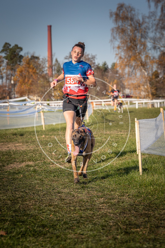 CaniXpix_0L8A8291 | Hundefotografie, Tierfotograf, Pfotenfotografie, Fotoshooting Hund, Hunde Portrait, Hundesport, Hundeportraits, Heideshooting, Hunde, Sportfotograf, Hundefotograf, Turnierhundsport, THS,  - Realisiert mit Pictrs.com