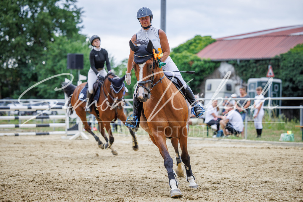 20260705-_3LI6372 | Tierfotografie Pferde, Hunde, Katzen, Haustiere.
Turnierfotografie Reitturniere, Reiten, Springreiten, Dressur in Hanau, dem Main-Kinzig-Kreis und dem Rhein-Main- Gebiet um Frankfurt