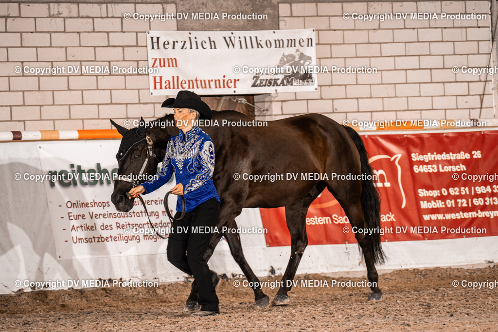 ZH100026 | dv-media-shop - Realisiert mit Pictrs.com