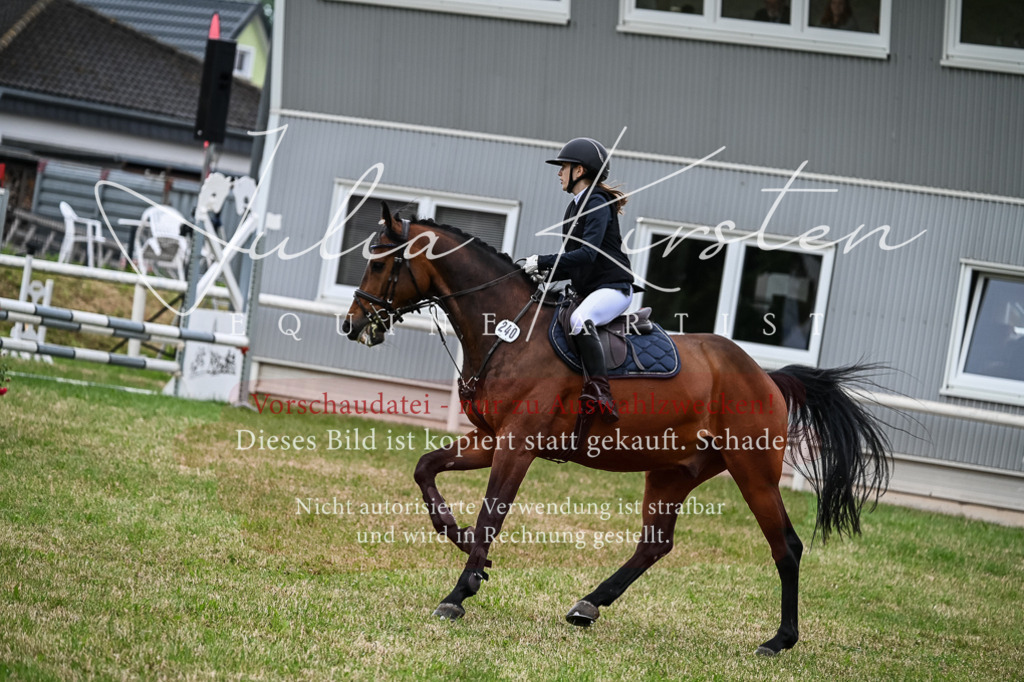 DSC_8463 | Pferde- und Turnierfotografie in Westsachsen. Pferdeportraits, Auftragszeichnungen und intuitive Kunst.