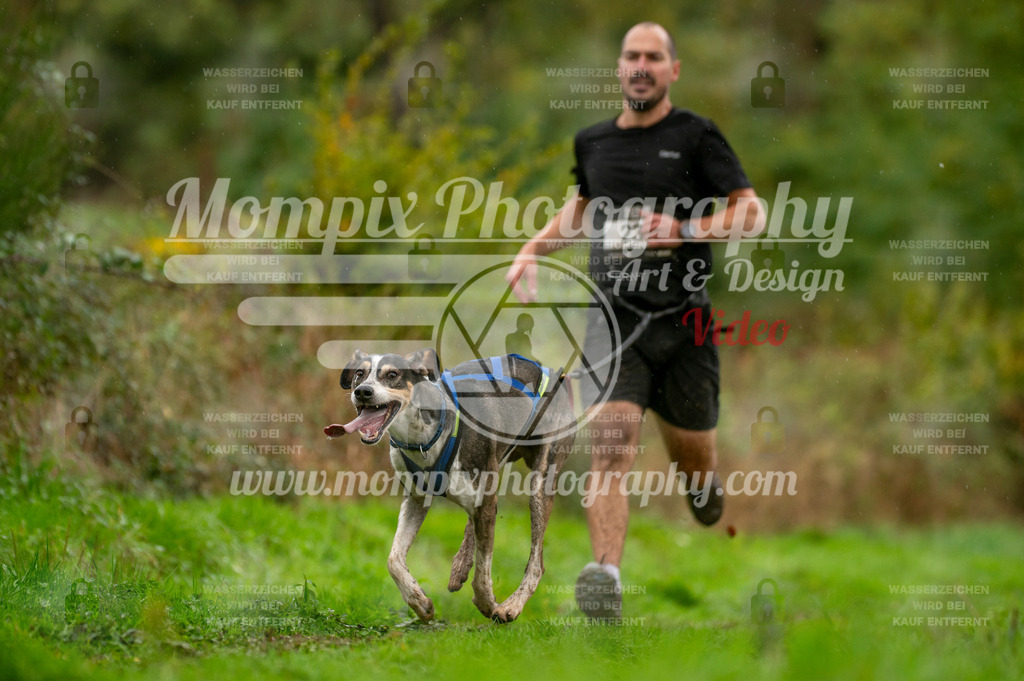 TSB_2023_E6_Canicross-52 | PayLife