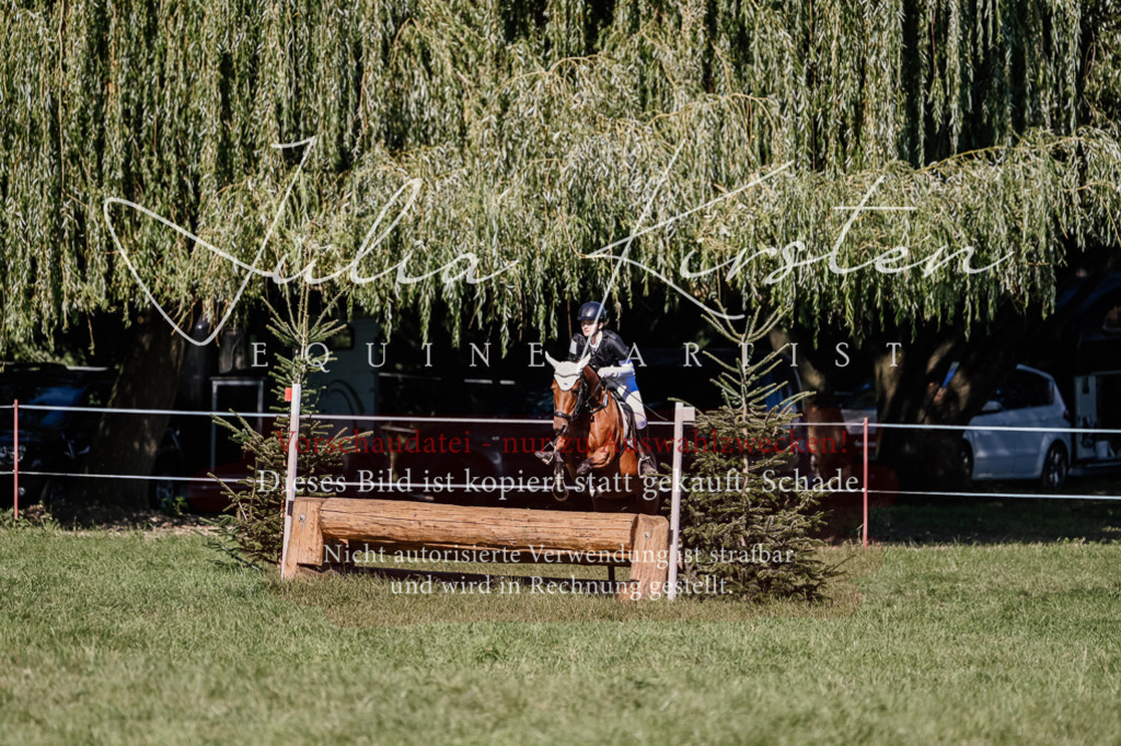 DSC_3469 | Pferde- und Turnierfotografie in Westsachsen. Pferdeportraits, Auftragszeichnungen und intuitive Kunst.