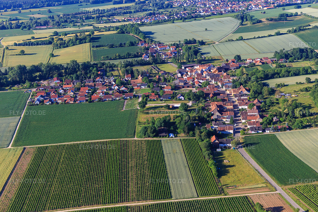 Luftbild: Dorfansicht aus Norden im Ortsteil Kleinsteinfeld in Niederotterbach im Bundesland Rheinland-Pfalz in Deutschland. Foto: IMG_100999.jpg vom 17.06.2017 durch Werner Riehm/FLY-FOTO.de
