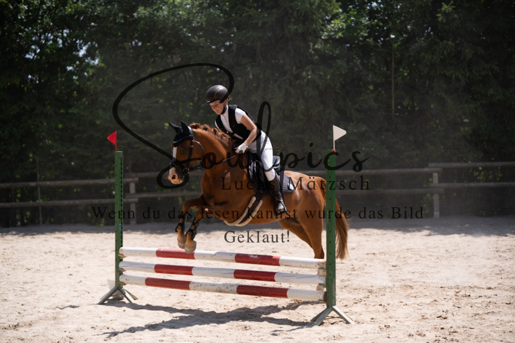 A7V08395 | Pferdefotograf