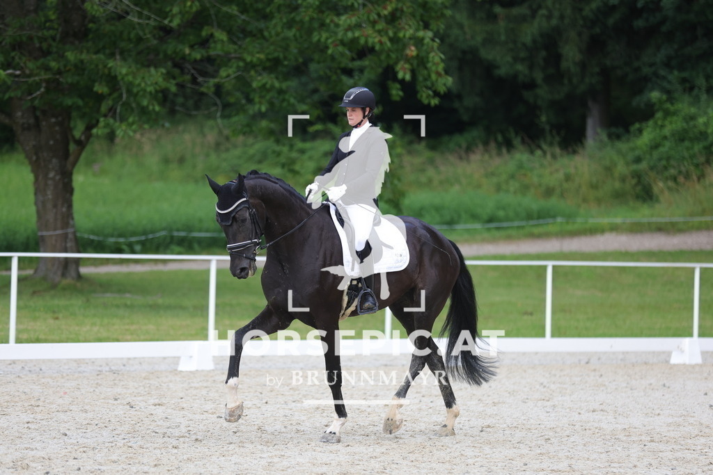 0P6A8875 | Willkommen bei Brunnmayr - Design & Fotografie – Ihrem Spezialisten für Reitturniere und Pferdeveranstaltungen in Oberösterreich, Salzburg und Bayern! Seit über 17 Jahren sind wir leidenschaftlich dabei.