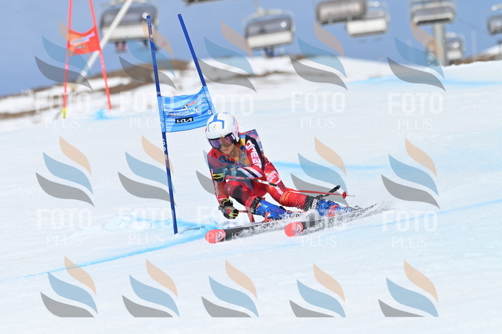 BGV_1900 | holidayphoto