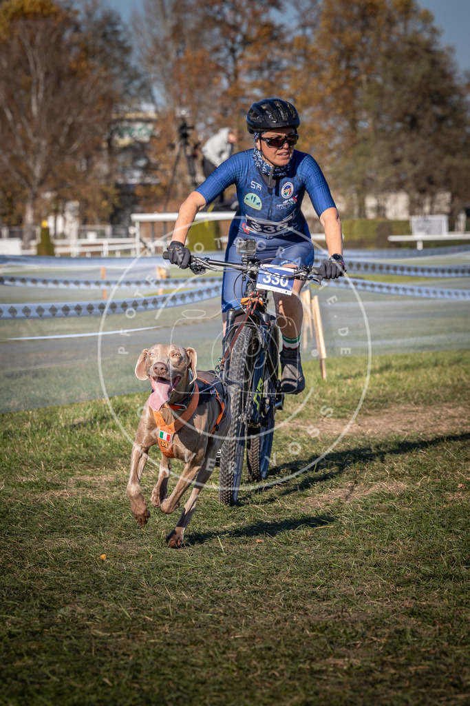 CaniXpix_0L8A5828 | Hundefotografie, Tierfotograf, Pfotenfotografie, Fotoshooting Hund, Hunde Portrait, Hundesport, Hundeportraits, Heideshooting, Hunde, Sportfotograf, Hundefotograf, Turnierhundsport, THS,  - Realisiert mit Pictrs.com