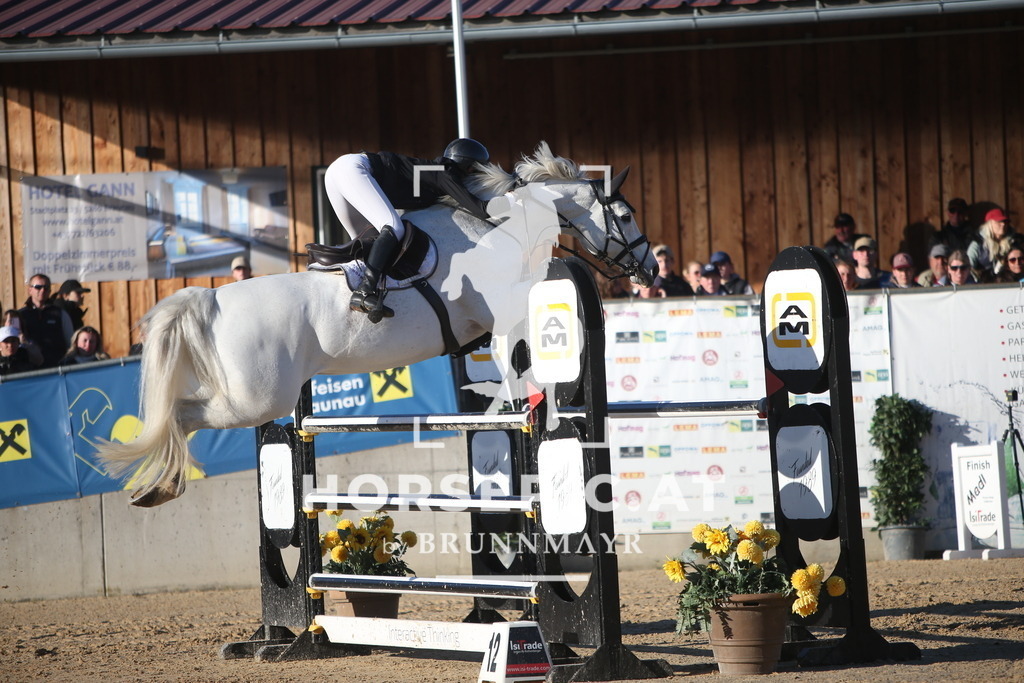 PP016014 | Willkommen bei Brunnmayr - Design & Fotografie – Ihrem Spezialisten für Reitturniere und Pferdeveranstaltungen in Oberösterreich, Salzburg und Bayern! Seit über 17 Jahren sind wir leidenschaftlich dabei.