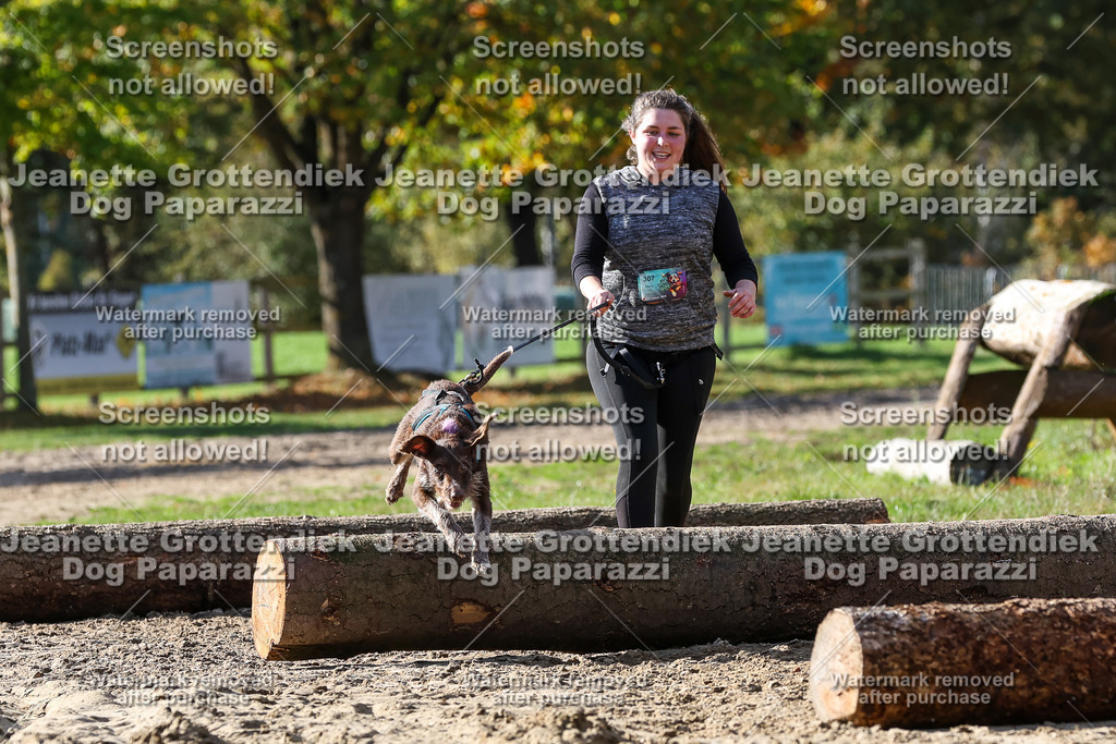 Dog Paparazzi - Strongdog 10-25-4901 | Dog Paparazzi Jeanette Grottendiek Fotografie & Videografie - Realisiert mit Pictrs.com