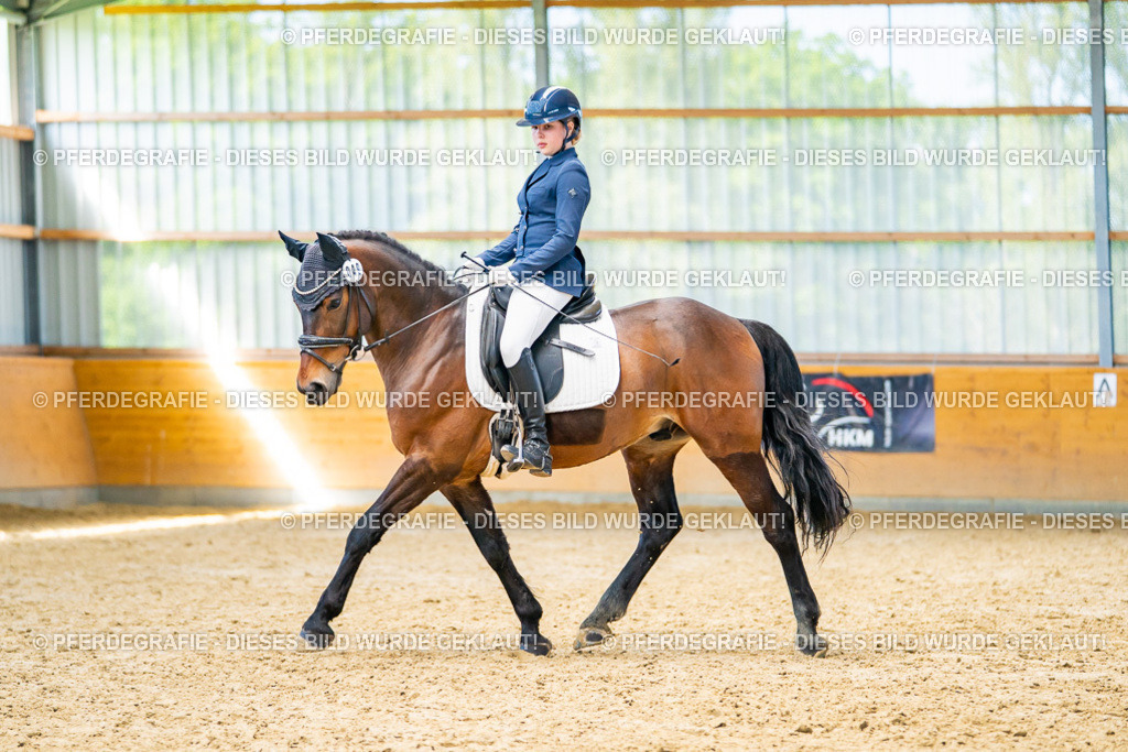 DSC08212 | Pferdegrafie