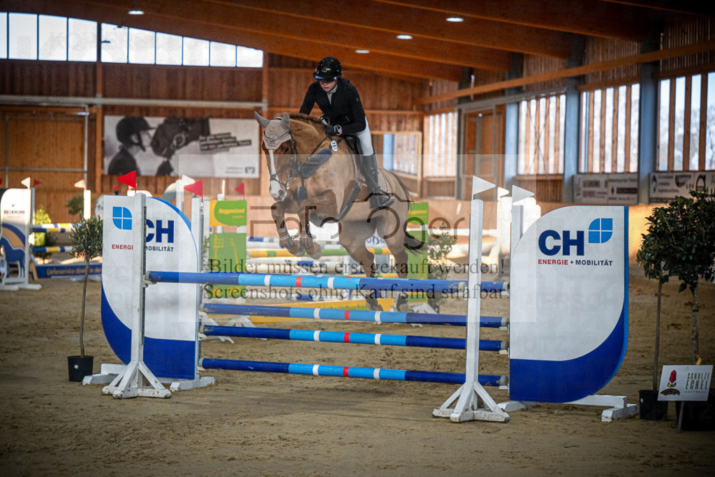 DOS_0809 | Entdecke hochwertige Reitturnierfotos von Foto Oger. Professionell, emotional und authentisch – jetzt Lieblingsmomente im Shop bestellen.Deutschlandweite Turnierfotografie. - Realisiert mit Pictrs.com