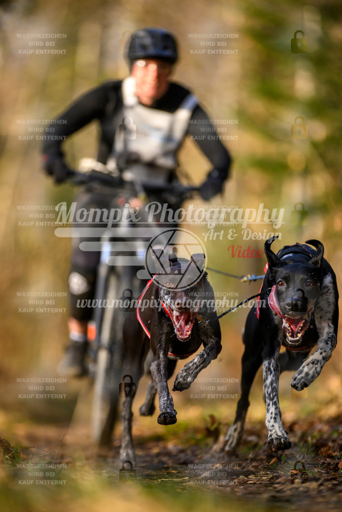 MompixPhotography_6ReiatRennen2026_SO_Bike-14 | PayLife