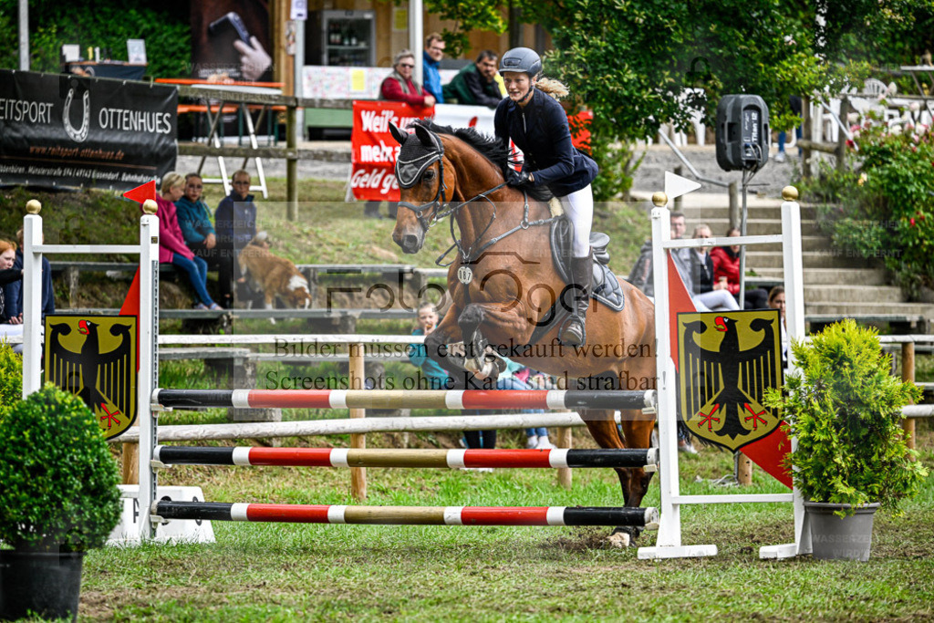 Bissendorfer Reitertage | Entdecke hochwertige Reitturnierfotos von Foto Oger. Professionell, emotional und authentisch – jetzt Lieblingsmomente im Shop bestellen. - Realisiert mit Pictrs.com