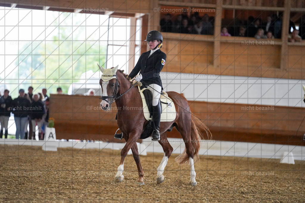 20240825-FAH09114 | Turnierbilder, Reitsportfotos, LAPO, Landesponyturnier, Turnierfotografen Bayern