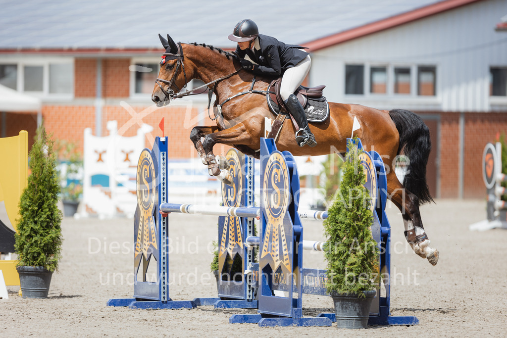 220705_Mühlen_SprPf-L1-411 | Late Entry Mühlen
05.07.2022
04 Springpferde-L, 5-7jährige Pferde