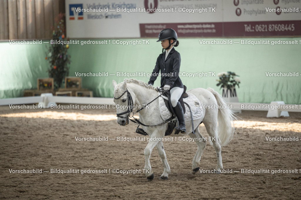 _D5A5690 | Emotionale Pferde- & People-Fotografie rund um Heidelberg, Leimen & Umgebung. Natürliche Fotos von Pferd, Mensch & Familie. Jetzt Termin sichern!