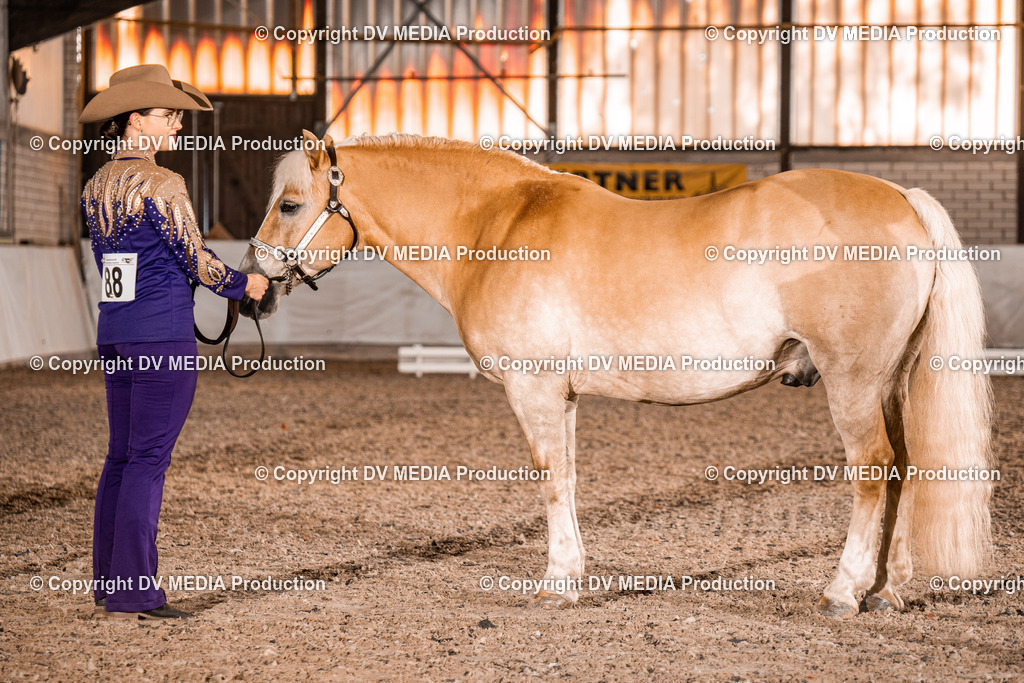 ZH100173 | dv-media-shop - Realisiert mit Pictrs.com