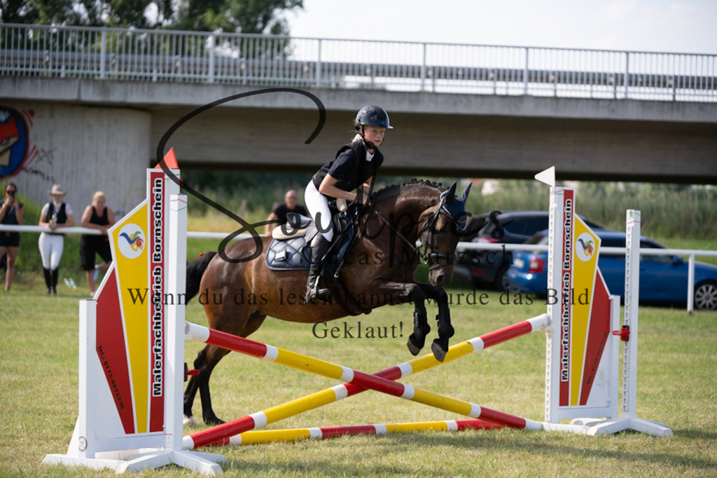A7V00554 2 | Turnier/Reitfotograf