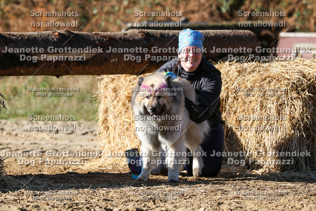 Dog Paparazzi - Strongdog 10-25-2566 | Dog Paparazzi Jeanette Grottendiek Fotografie & Videografie - Realisiert mit Pictrs.com