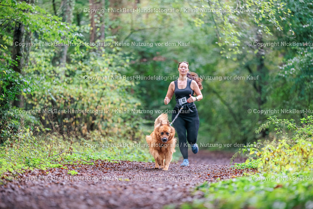 THS-HSV-Blumenthal-2026-Nickbest-Hundefotografie-0264 | Dein Hund! Dein Moment! Deine Erinnerungen! Hundefotografie in Bremen Blumenthal. Ich fange die besonderen Momente deines Vierbeiners ein – ob Indoor mit Blitzanlage oder in der freien Natur. Sicher dir dein Moment und dein Termin für eure Erinnerungen.